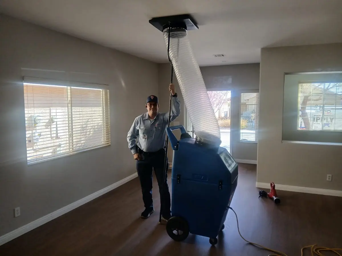 Professional Dryer Vent Cleaning work inside a Roy home